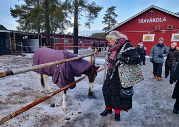 Julmarknad travbanan Umeå 2024